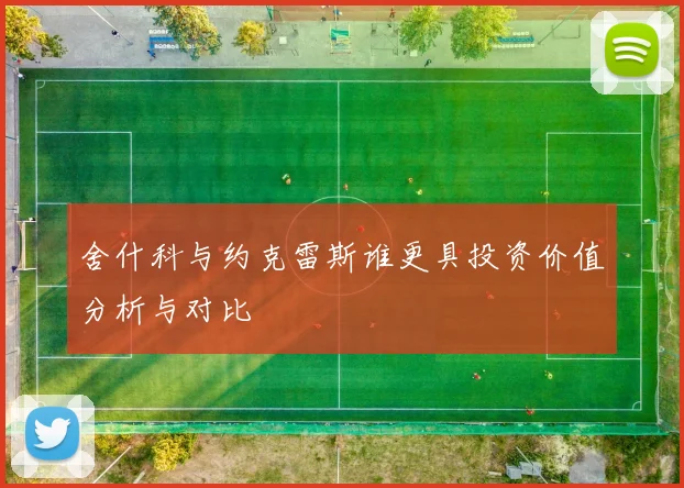 舍什科与约克雷斯谁更具投资价值分析与对比