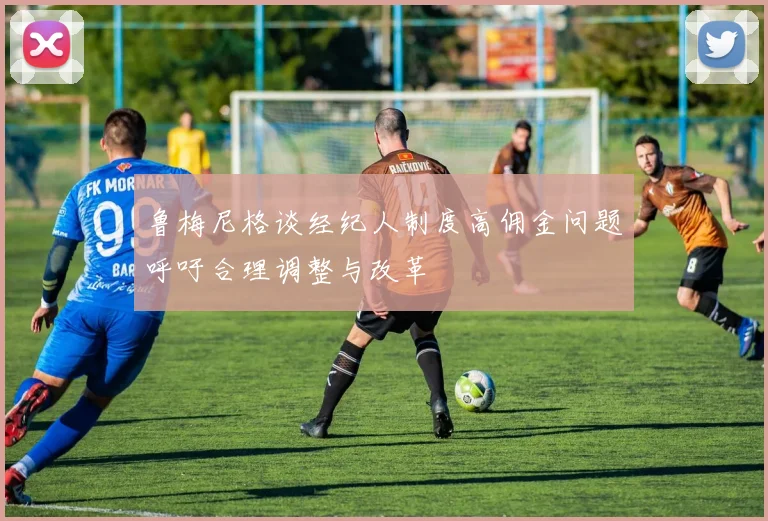 鲁梅尼格谈经纪人制度高佣金问题呼吁合理调整与改革