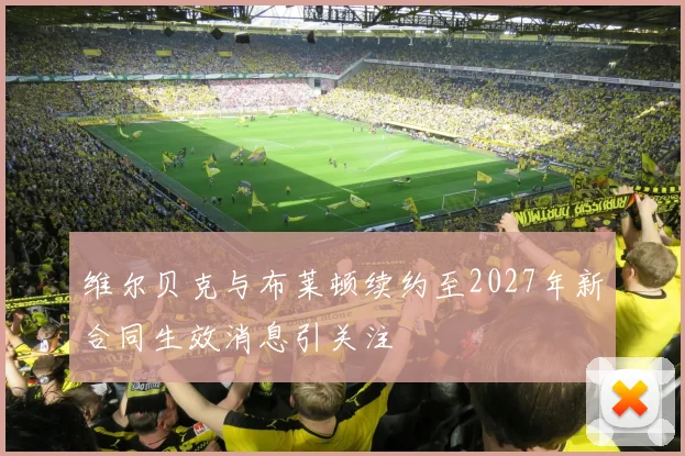 维尔贝克与布莱顿续约至2027年新合同生效消息引关注