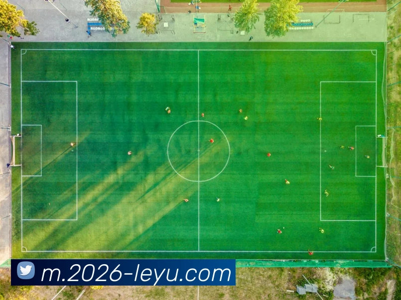 乐鱼体育服务体系